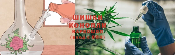 скорость Бородино