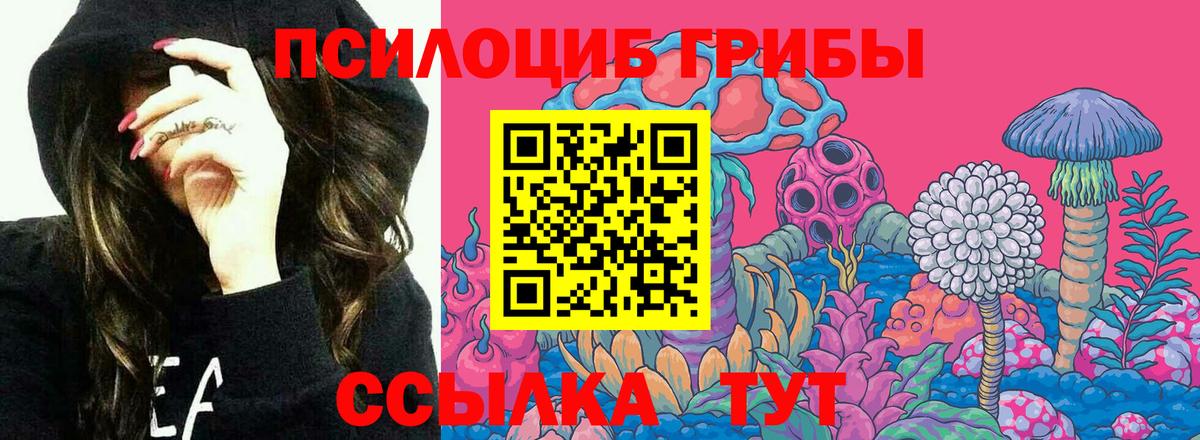 Галлюциногенные грибы MAGIC MUSHROOMS Златоуст