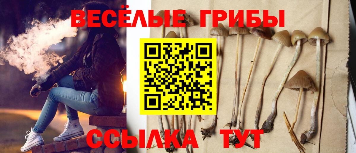 Галлюциногенные грибы ЛСД  Галлюциногенные грибы MAGIC MUSHROOMS  Златоуст 